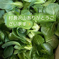 寄贈その３